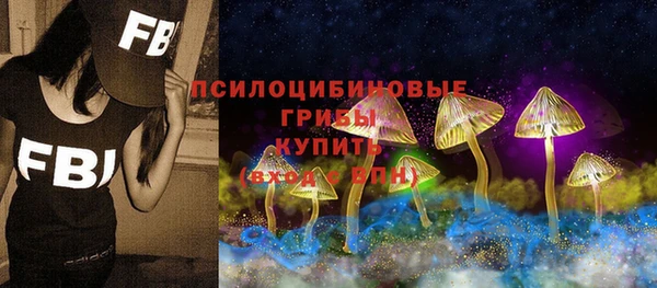 эйфоретик Алексеевка